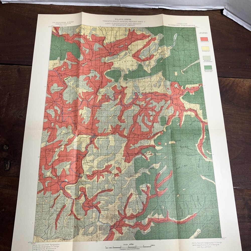 Vintage 1890s Oregon Roseburg USGS Map Land Classification Timber Density Quadra